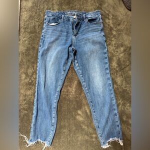 American Eagle Outfitters Blue Skinny Jeans Classic Denim